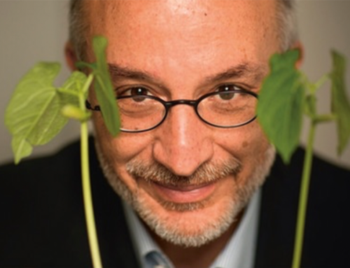 Stefano Mancuso „Pflanzen Revolution“