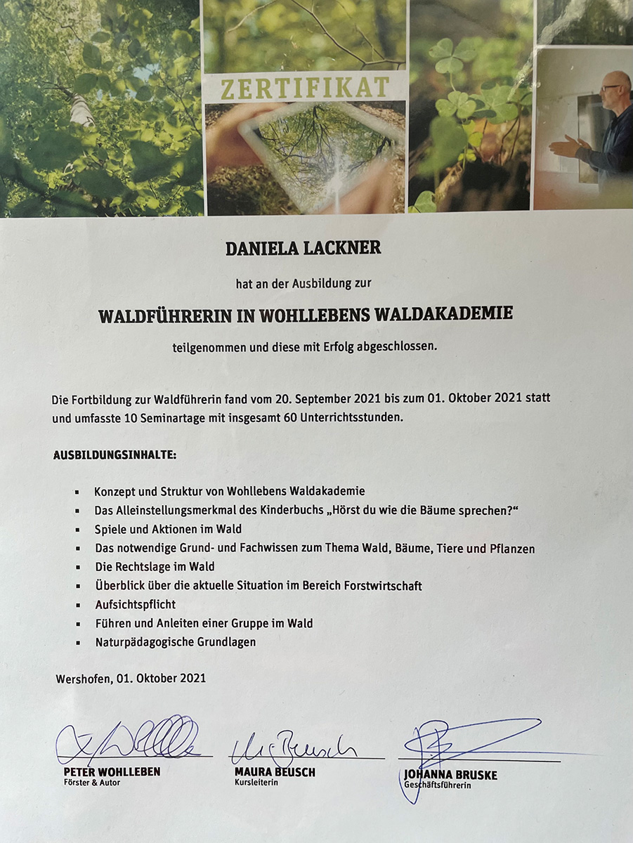 Baumgesellschaft-Über mich-Daniela Lackner-Wohllebens Waldakademie-Waldführer