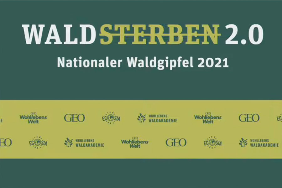 Baumgesellschaft-Videoempfehlung-Wohllebens Waldakademie-Nationaler Waldgipfel 2021-Beitragsbild