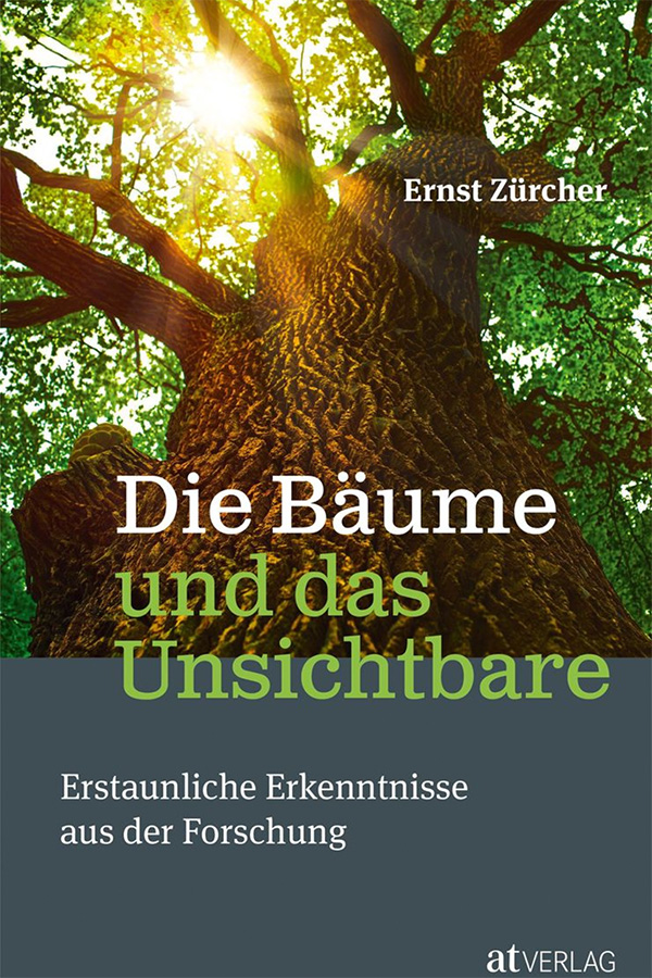 Baumgesellschaft-Buchempfehlung-Ernst Zürcher-Die Bäume und das Unsichtbare-Cover