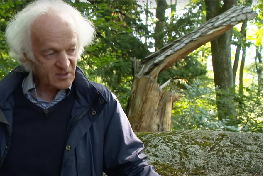 Baumgesellschaft-Videoempfehlung-Ernst Zürcher-Bäume pulsieren im Rythmus des Mondes
