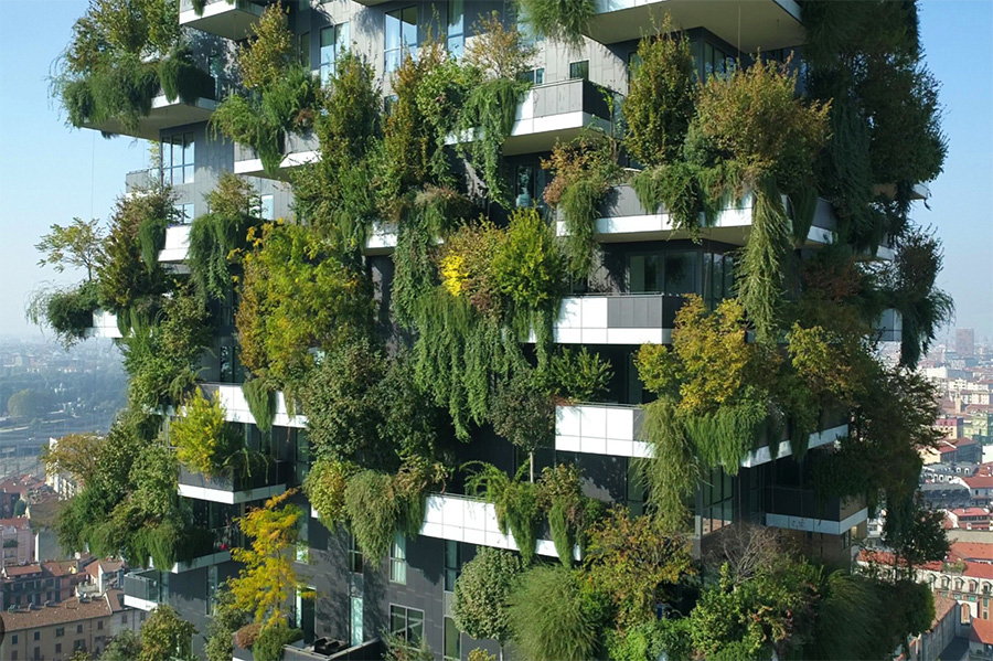Baumgesellschaft-Blog-Topfpflanzen-biophile Architektur